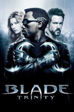 Nonton Film Blade: Trinity (2004) Nonton Film Blade: Trinity (2004)