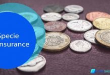Specie Insurance Specie Insurance