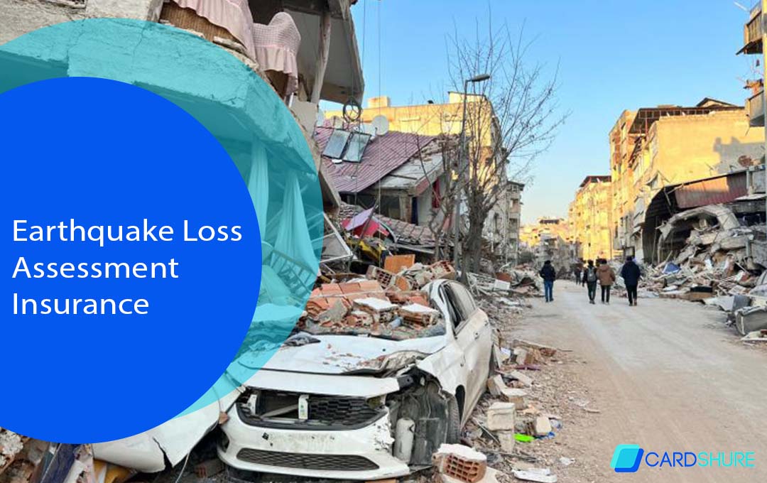 Earthquake Loss Assessment Insurance