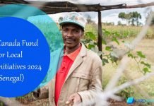 Call for Proposals – Canada Fund for Local Initiatives 2024 (Senegal) Canada Fund for Local Initiatives 2024 (Senegal)