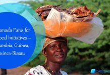 Canada Fund for Local Initiatives – Gambia, Guinea, Guinea-Bissau (2024) Canada Fund for Local Initiatives – Gambia, Guinea, Guinea-Bissau