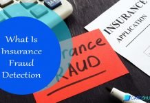 What Is Insurance Fraud Detection What Is Insurance Fraud Detection