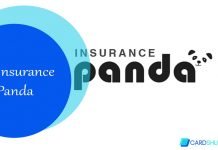 Insurance Panda – All You Need to Know About Insurance Panda Insurance Panda