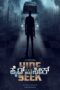 Hide And Seek (2024) Hide And Seek (2024)